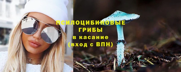 амф Беломорск