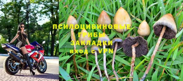 амф Беломорск