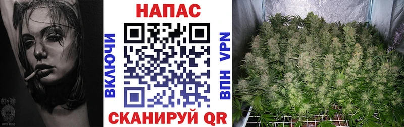 Шишки марихуана конопля купить закладку Очёр